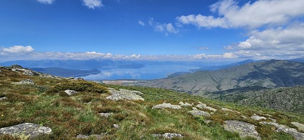 Ποτίστρες