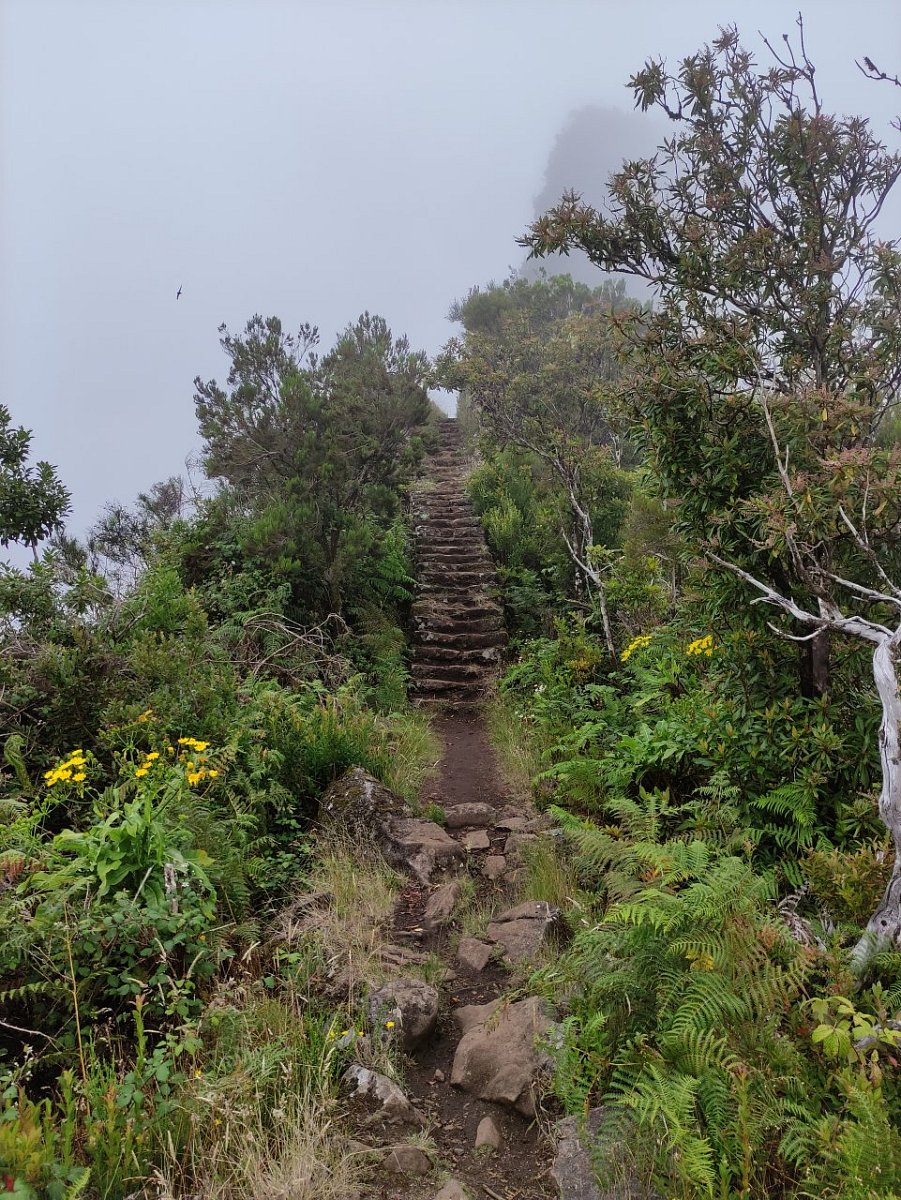 Pico do Tapeiro (1331 m)