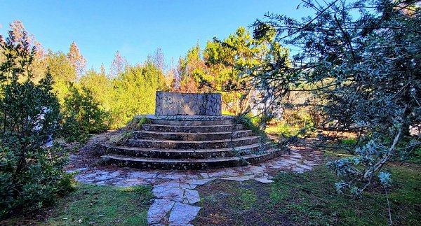 Pico de las Flores