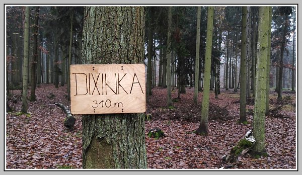 Dixinka
