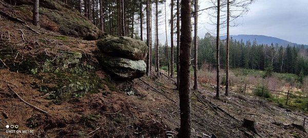 Dobrák