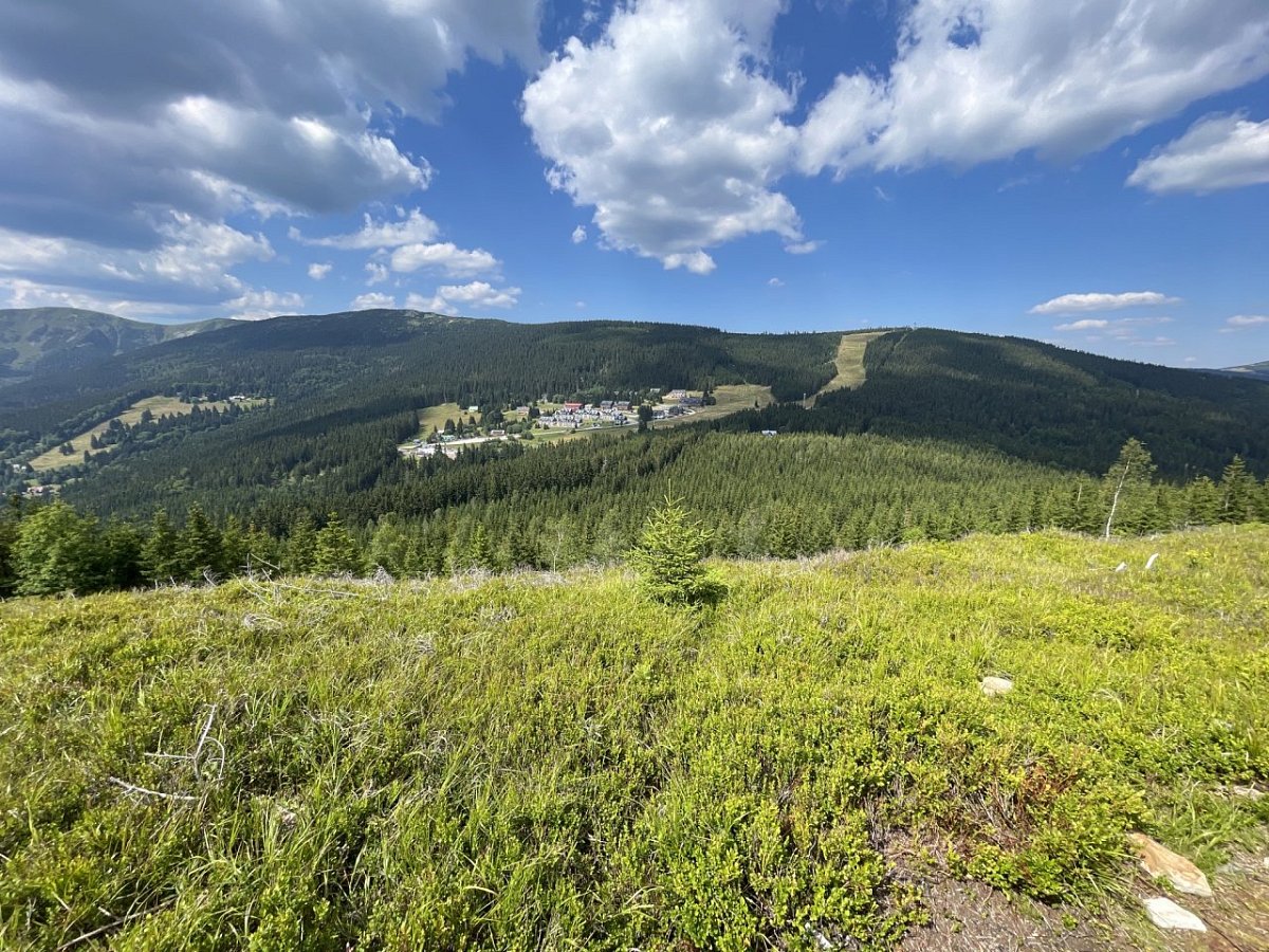 Mechovinec (1081&nbsp;m)