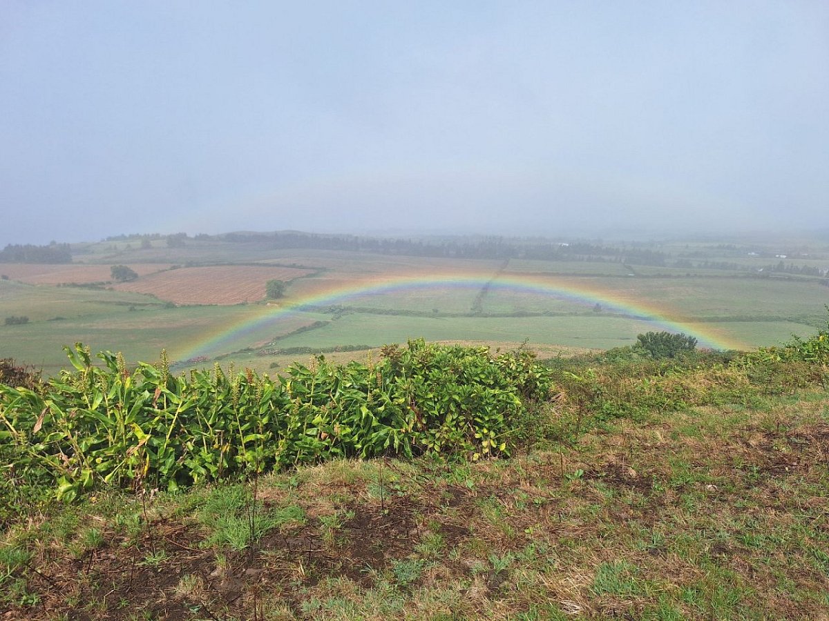 Vigário (437&nbsp;m)