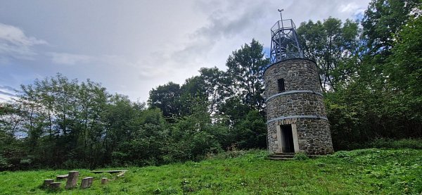 Kohout