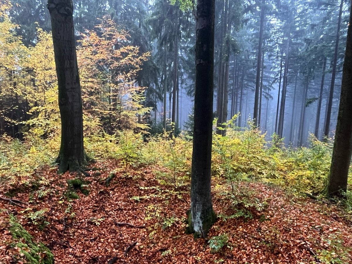 Skukumovy pozdravy (469&nbsp;m)