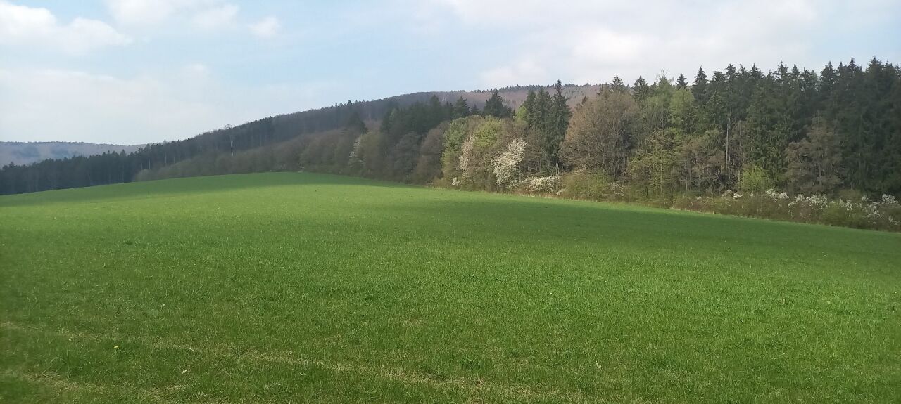 Židáky (448&nbsp;m)