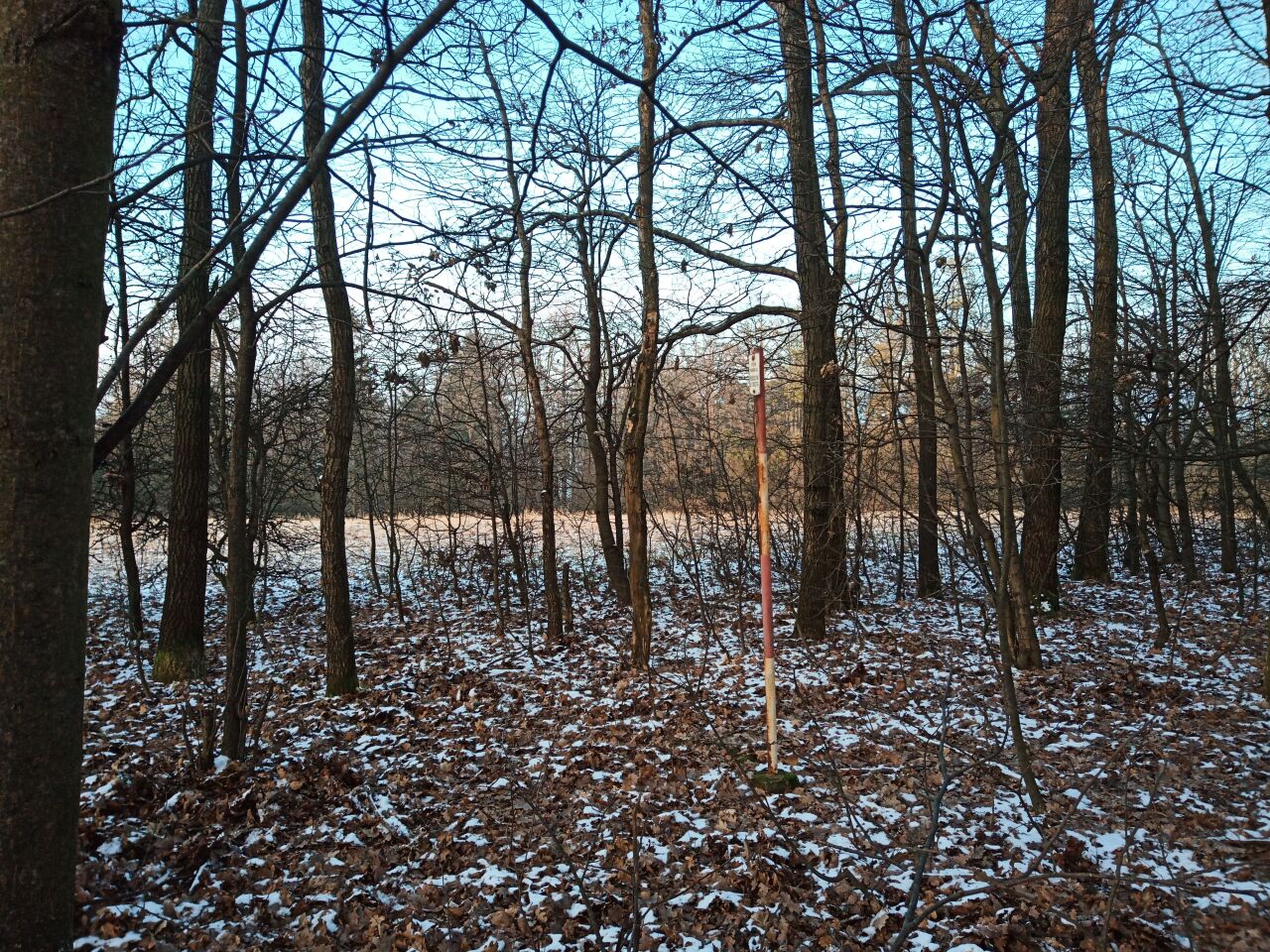 Bojiště