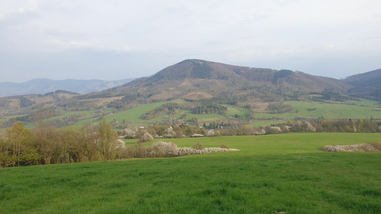 Kurcovina