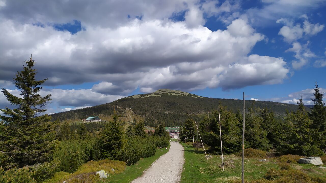 Čihadlo / Ptasi Kamień