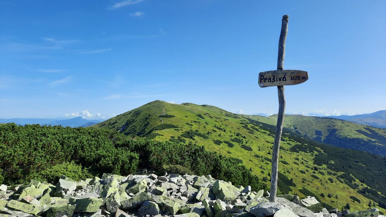 Prašivá