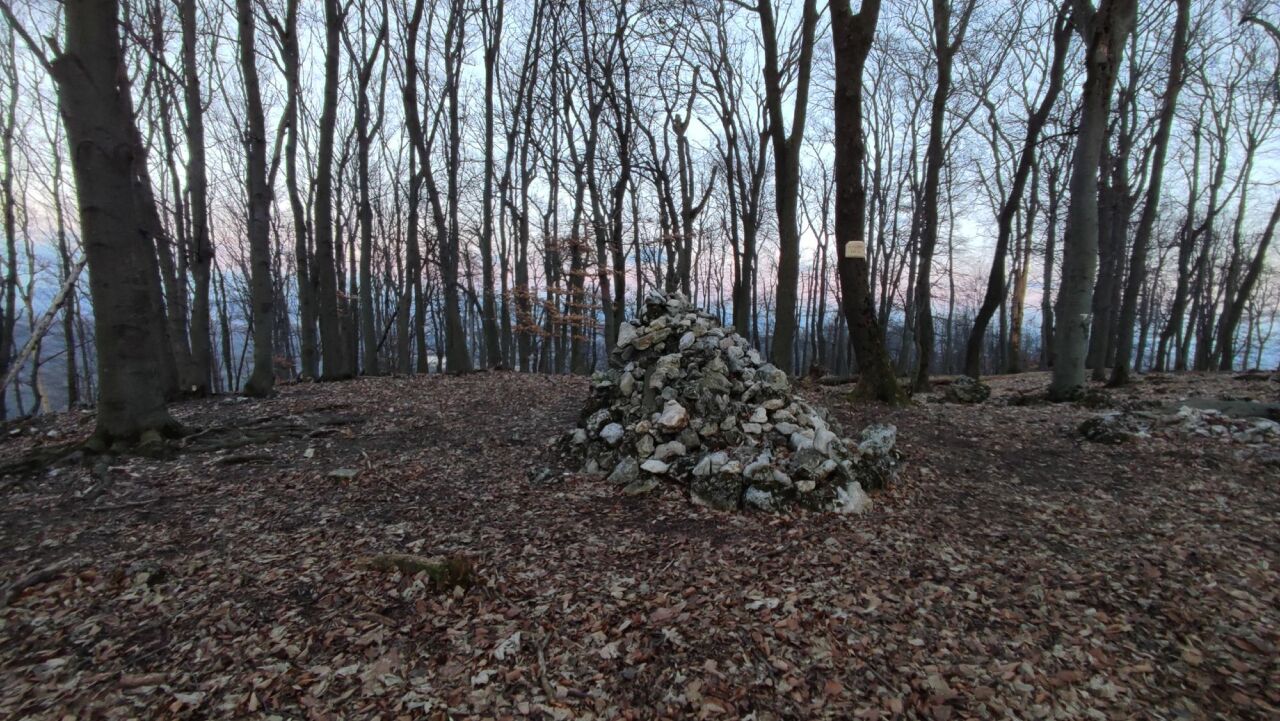 Klenová
