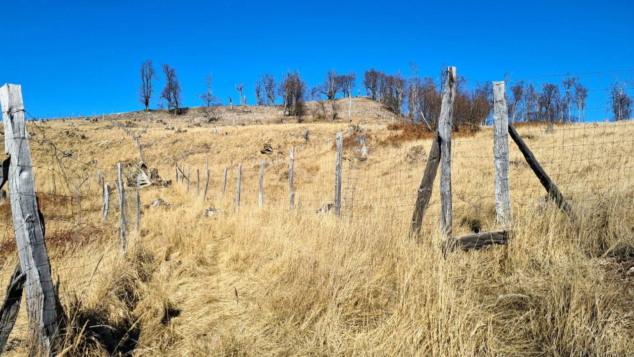 Egreš
