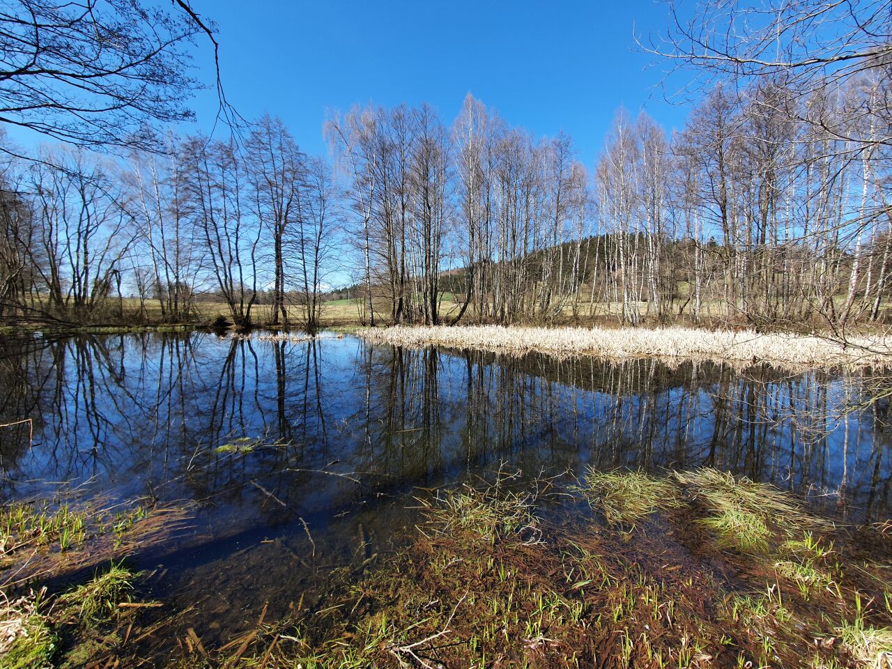 Drkolná (729&nbsp;m)