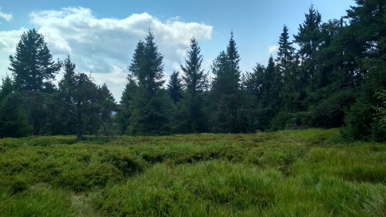 Eliášovka / Eliaszówka