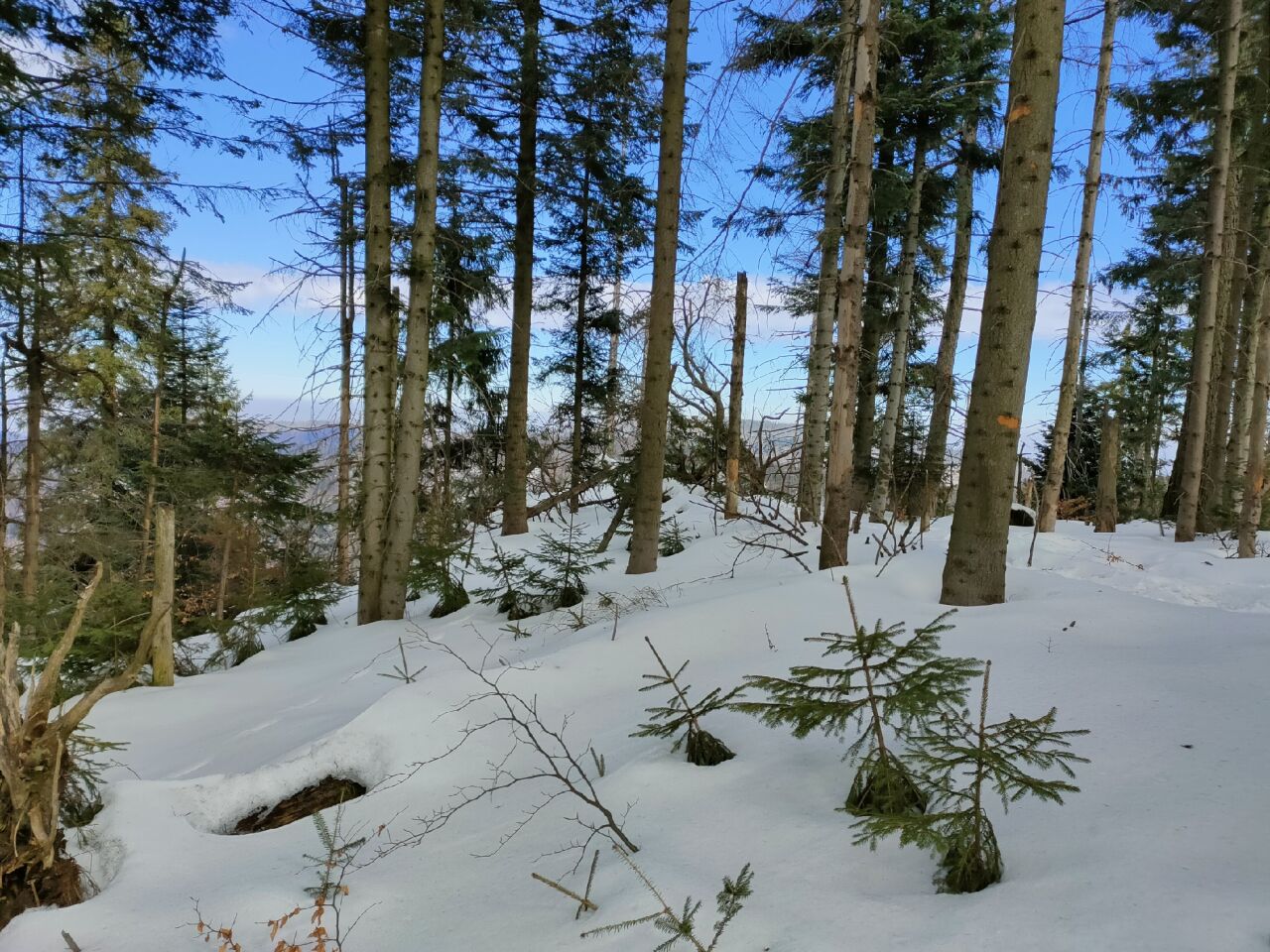 Mlada hora (910&nbsp;m)