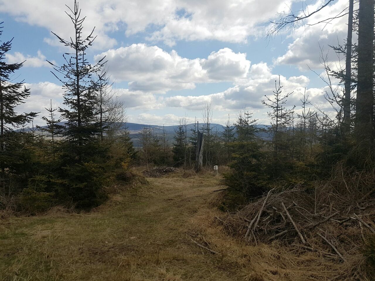Leszczyniec