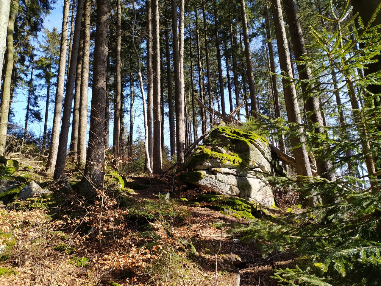 Vysoká