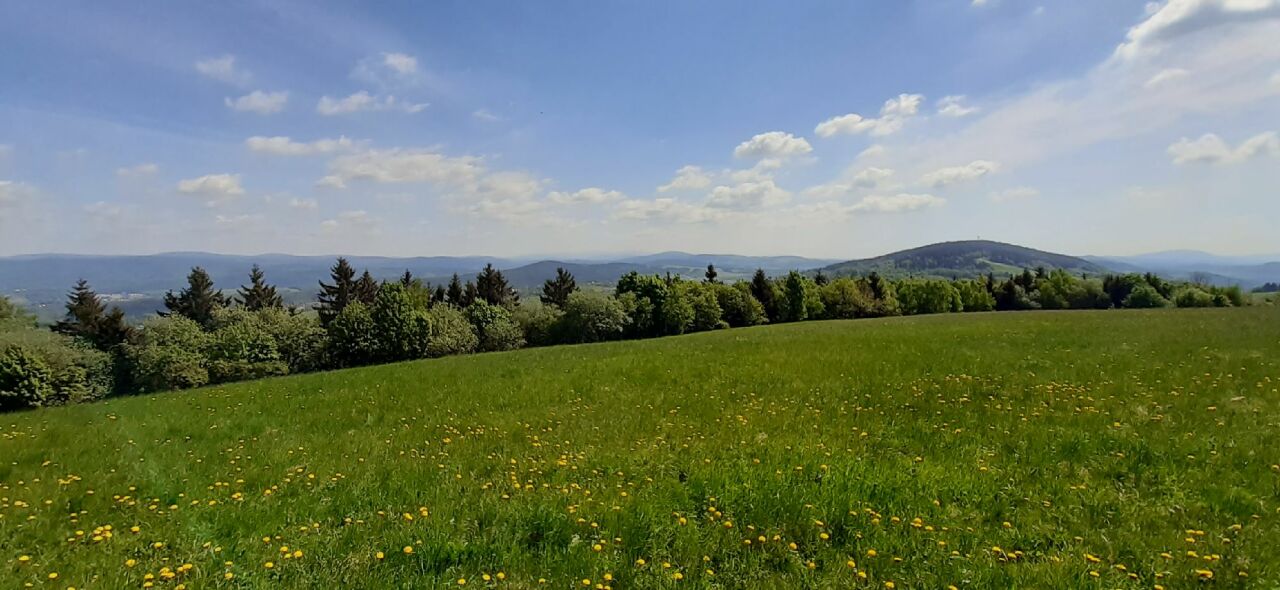 Rašovka
