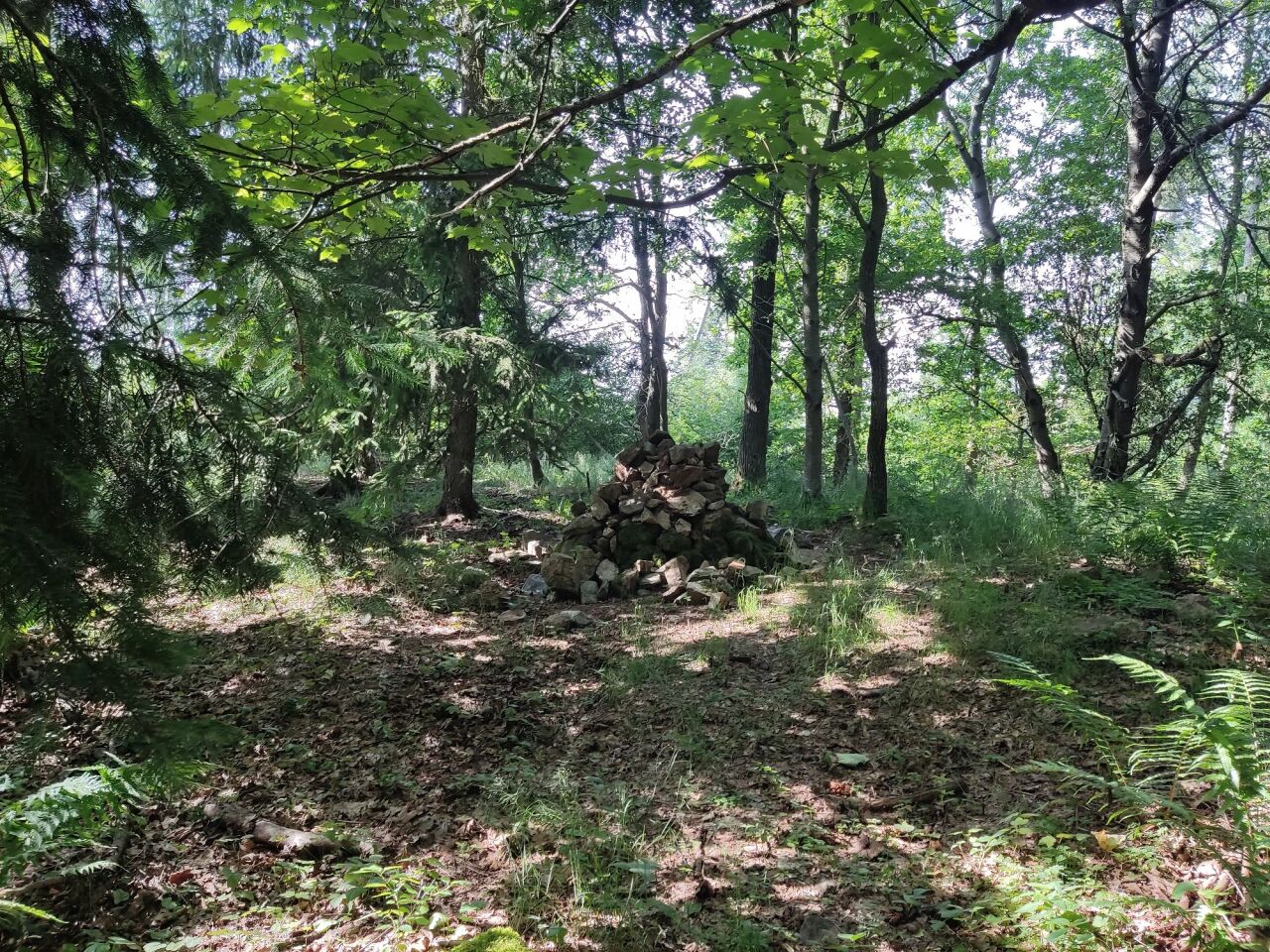 Stráž (638&nbsp;m)