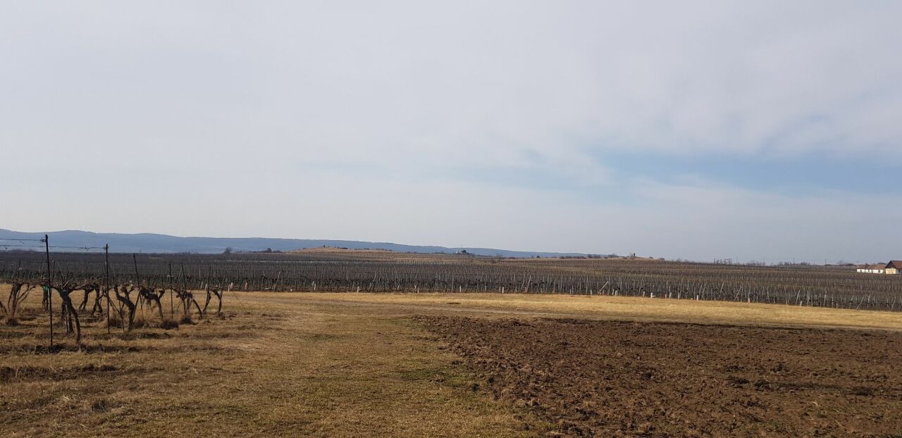 Hüttenberg