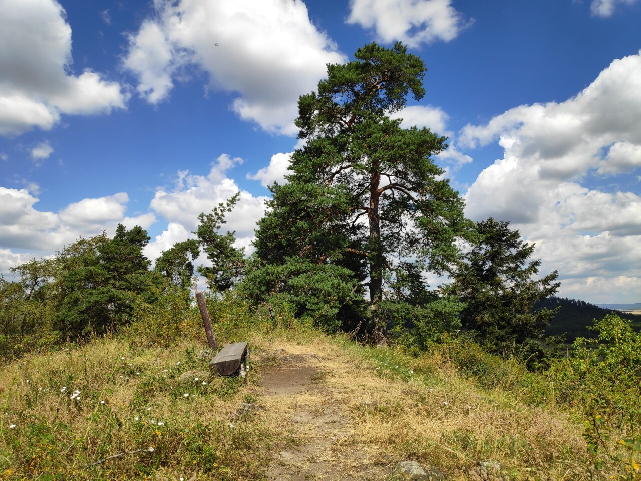 Špičák (611&nbsp;m)