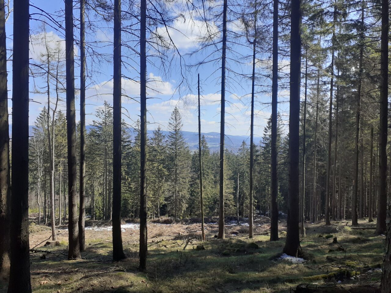 Spálený vrch