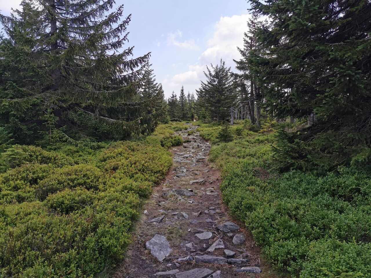 Čelo (1269&nbsp;m)